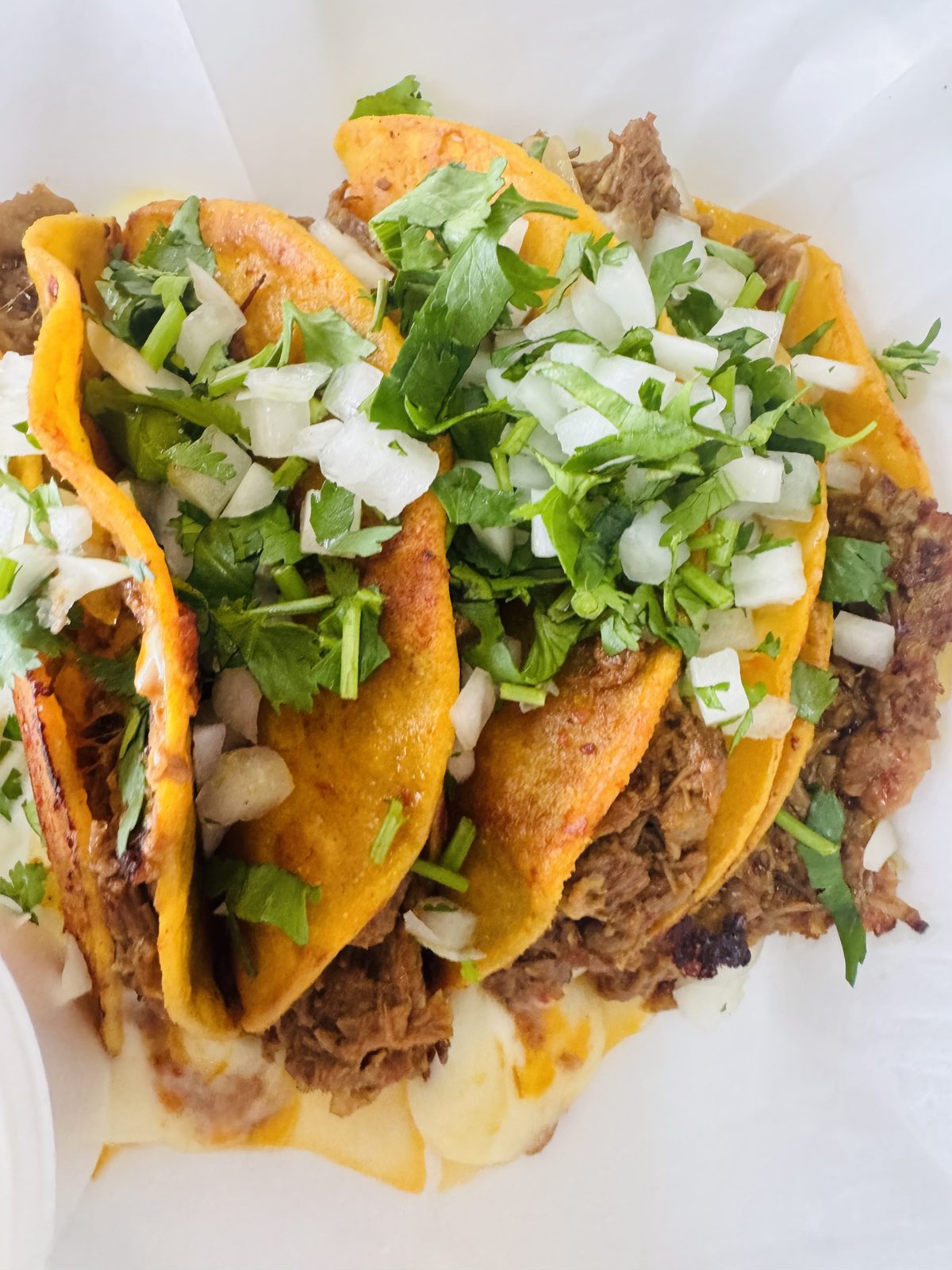 Tacos El Arca food